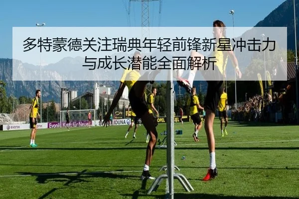 多特蒙德关注瑞典年轻前锋新星冲击力与成长潜能全面解析